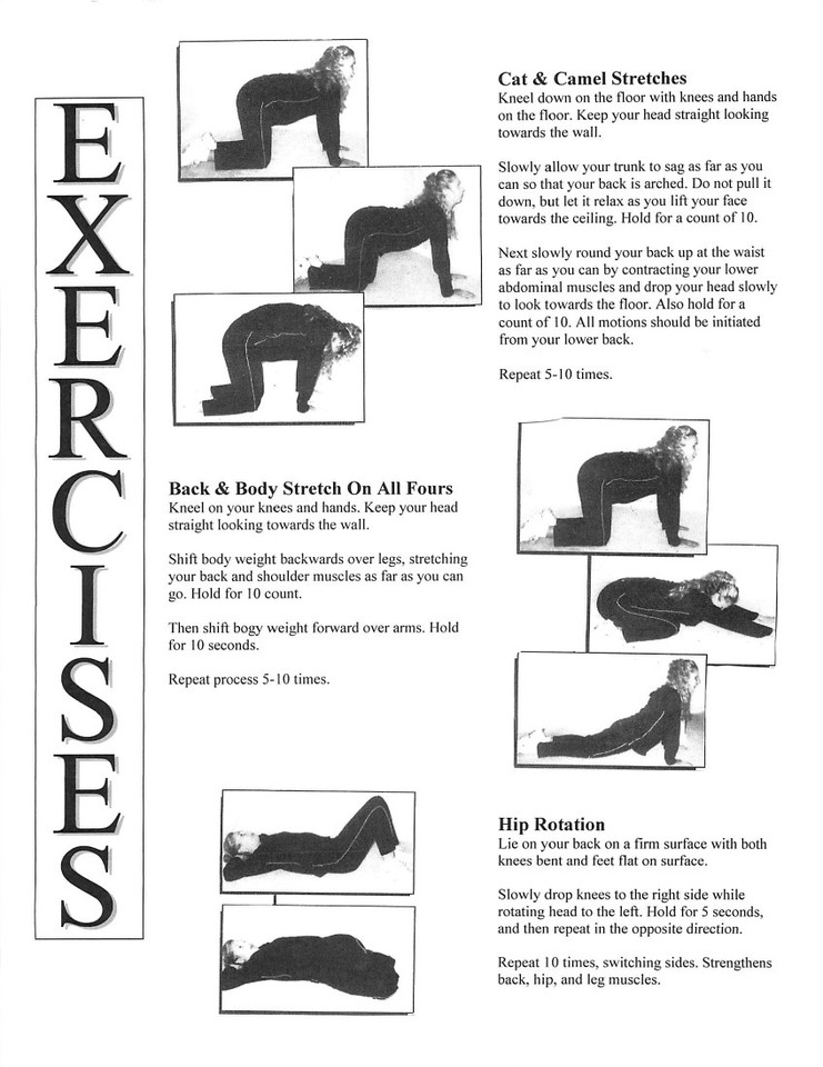low back exercises pdf