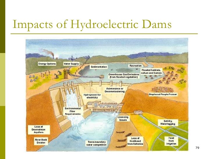 impact of dams on environment pdf