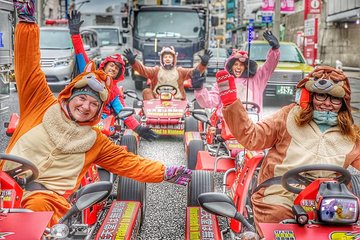 go kart street tour adventure with guide akihabara