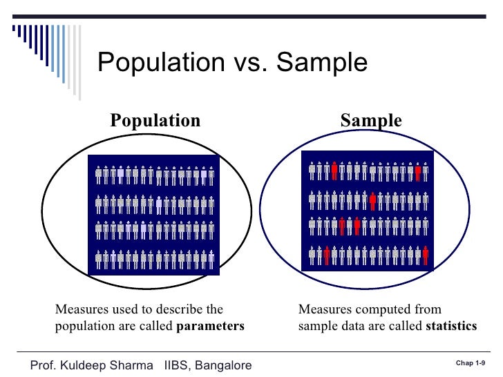 in research what is population